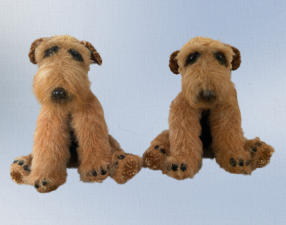 Airedale Terrier